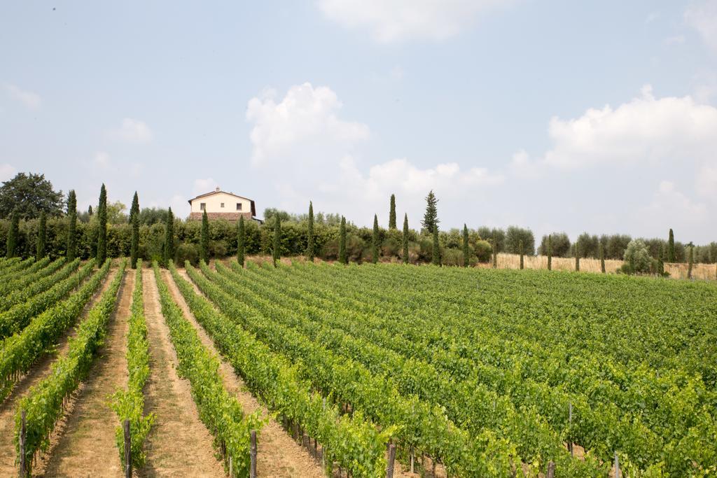 Le Buche Wine Resort&Spa Macciano Екстериор снимка