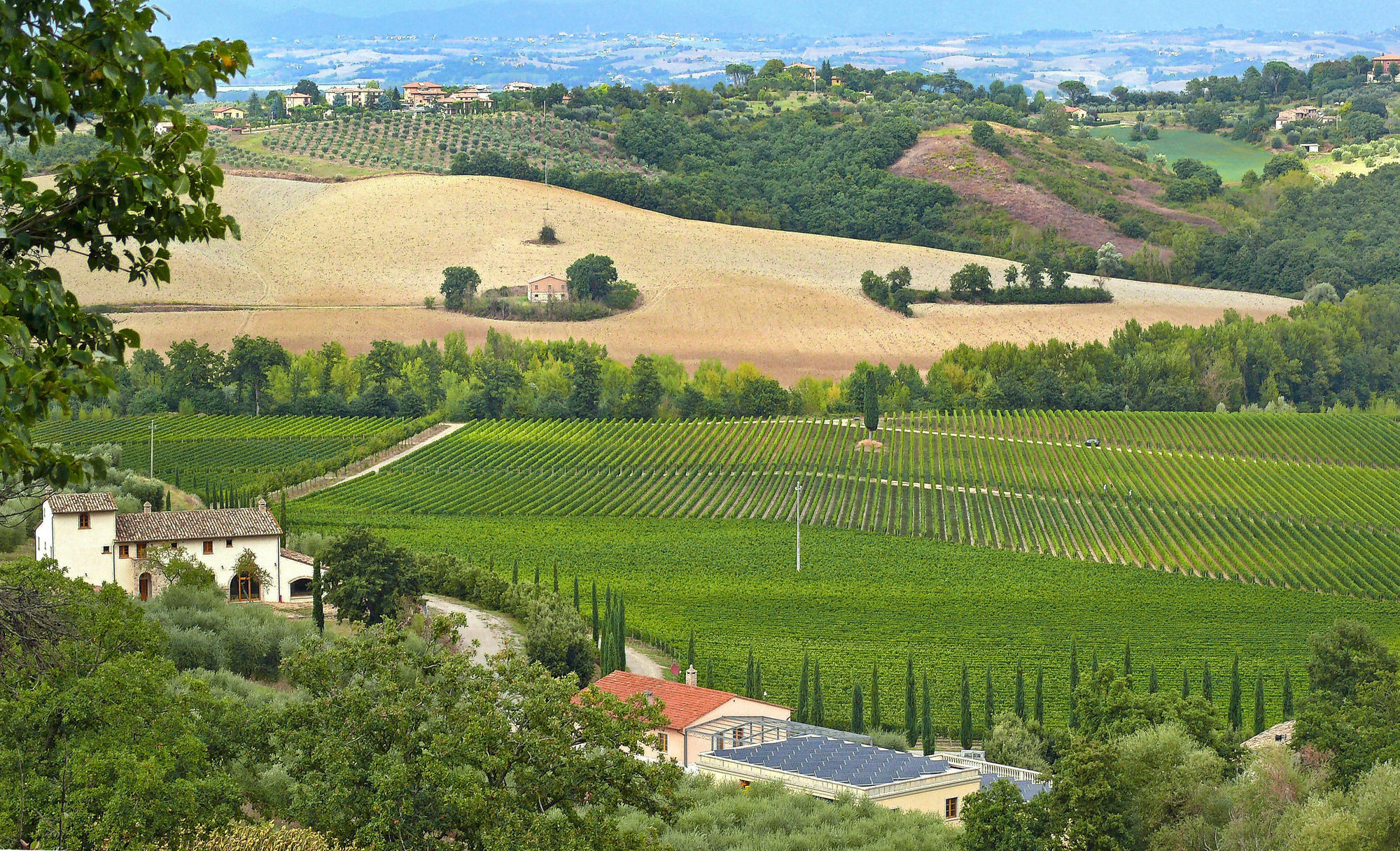 Le Buche Wine Resort&Spa Macciano Екстериор снимка